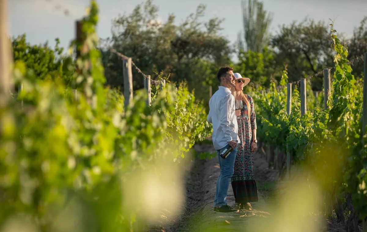 Viñedos y bodega en Mendoza al pie de la Cordillera