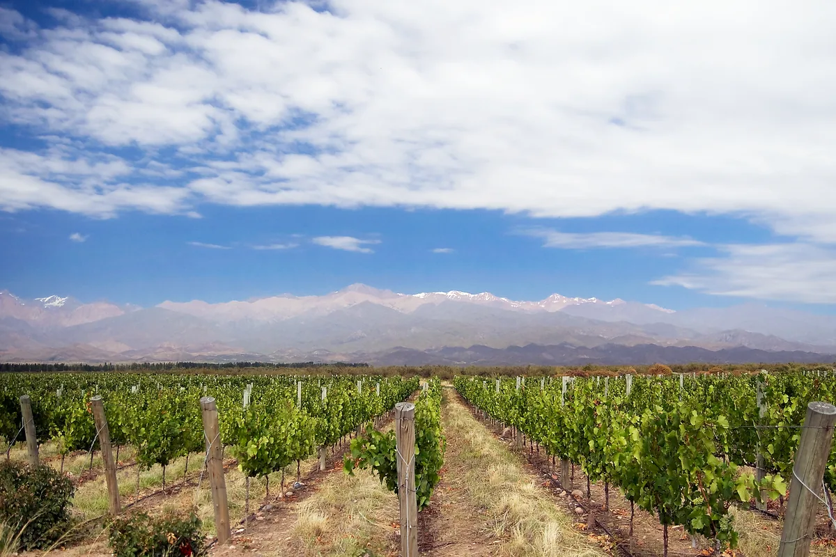 Bodegas y montaña del Valle de Uco