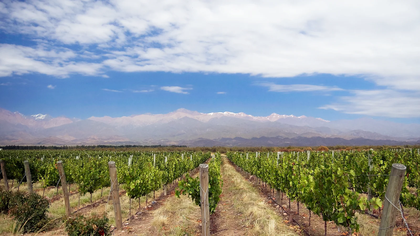 Bodegas en Valle de Uco