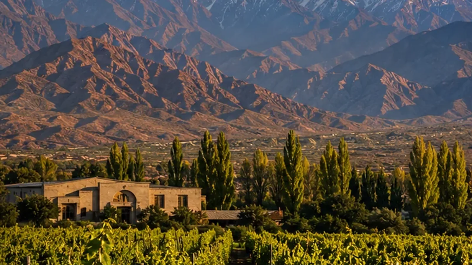 Viñedos y Cordillera de los Andes en Mendoza