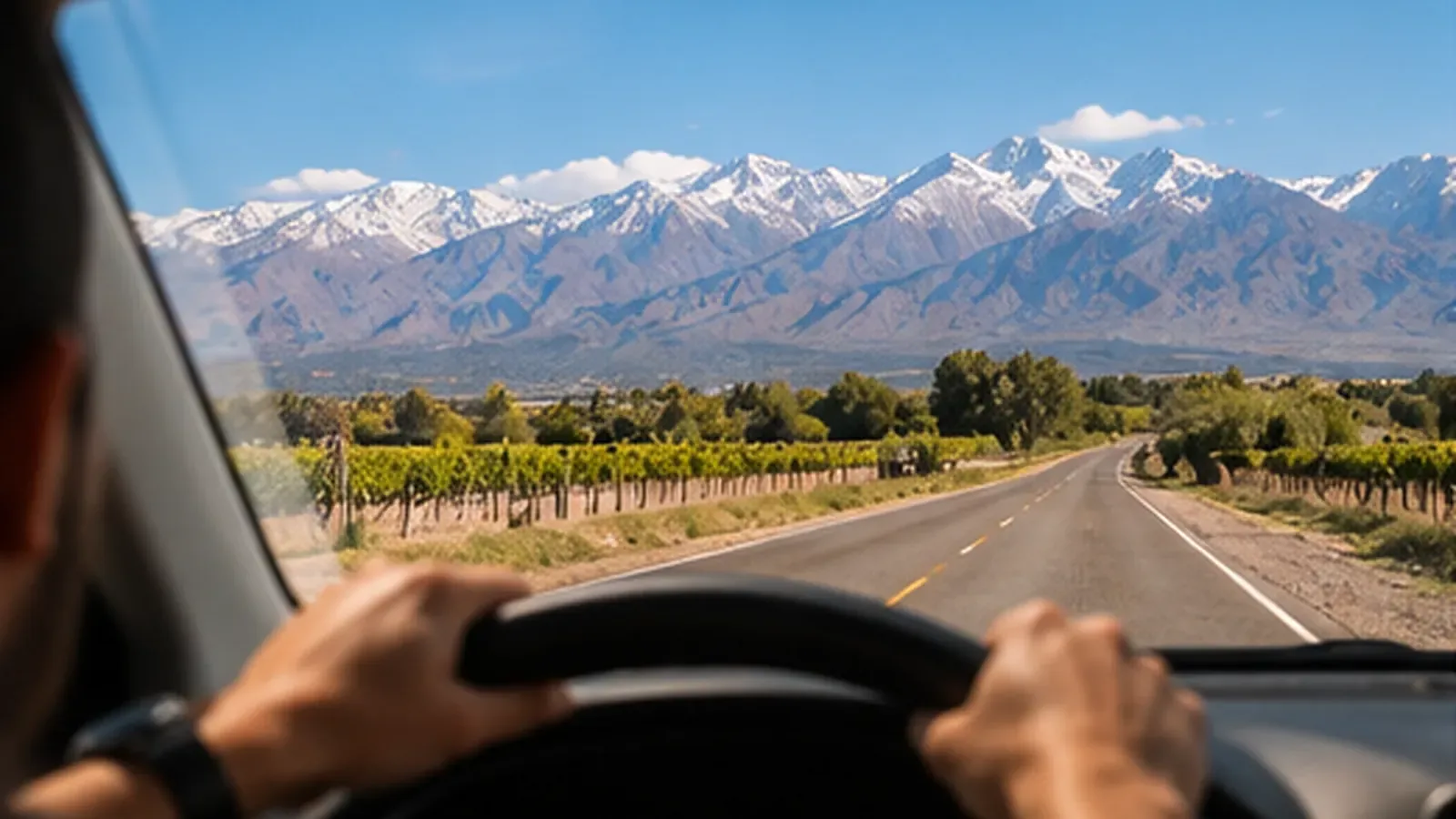 Escena ilustrativa de una ruta entre viñedos para explicar cómo recorrer Maipú sin auto